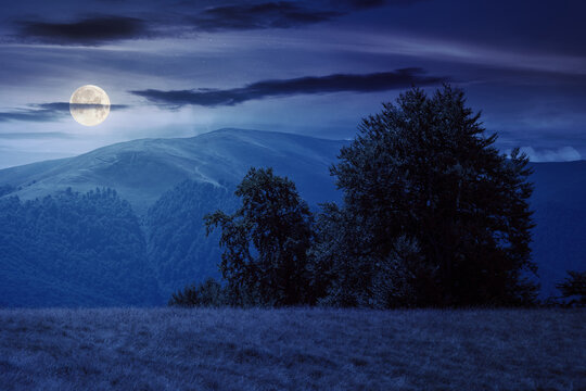 carpathian mountain landscape with grassy hills and meadows at night. late summer countryside scenery in full moon light