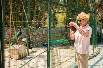 Elderly woman with mobile smartphone taking photo in zoological garden. Senior tourist woman on an excursion to the zoo.