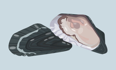 Oysters opened and closed isolated on blue background. Healthy seafood. Vitamins, nutrients, enzymes, healthy fats. Mediterranean diet. Aphrodisiac. Logo, restaurant menu, sale, promotion. shell