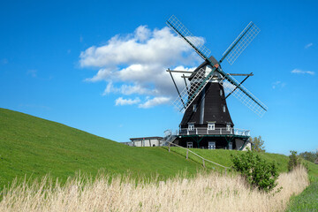 Naklejka premium Windmill, Pellworm, Germany