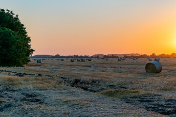 Round bales of straw rolled up on field against blue sky, autumnal harvest scenery