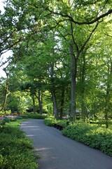 Park with variety of beautiful plants and pathway on sunny day. Spring season