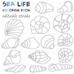 Set of sea shells. Original coloring pages of the underwater world.