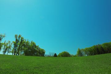 Beautiful view of landscape with fresh green grass and trees outdoors
