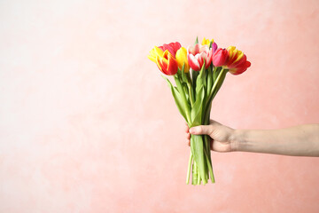 Woman holding beautiful spring tulips on light pink background, closeup. Space for text