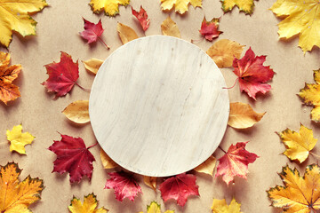 Blank circle stone pedestal. Dry Fall leaves and pumpkin on cardboard background. Circular design...