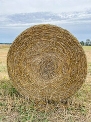 Round hay bale