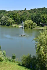 Park Śląski w Chorzowie, rekreacja, zieleń, odpoczynek © Albin Marciniak