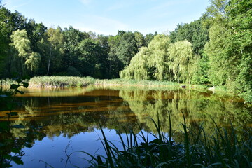 Park Śląski w Chorzowie, rekreacja, zieleń, odpoczynek © Albin Marciniak