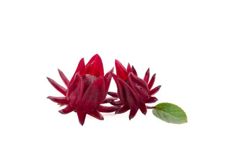 fresh roselle fruit on white background.