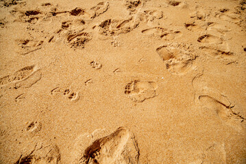 playas y calas del 
 mar Mediterraneo en Conil de Frontera en Cadiz España