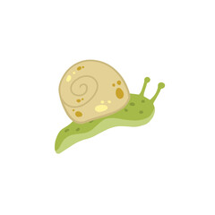 Snail with shell. Small green insect. Forest slow slimy animal.