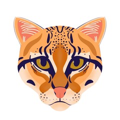 isolated handdrawn cartoon ocelot  cat lineart wildcat 