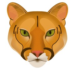 isolated handdrawn cartoon puma cheetah lineart wildcat 