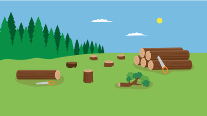 Felled trees and stumps near the forest