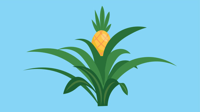 pineapple bush on a blue background