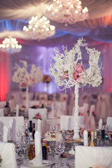 Flower arrangement at a wedding banquet in a restaurant in neon colors