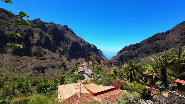 Footage of the palm trees and houses in Masca mountain village, Tenerife, Spain