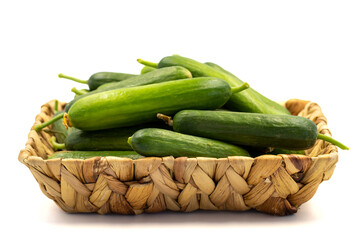Ripe cucumber. Fresh cucumbers in basket isolated on white background. Organic food. close up