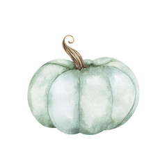 Watercolor fall pumpkin on white backdrop. Autumn harves hand-painted illustrationt. Farm healthy food. Party decoration. Plant floral design
