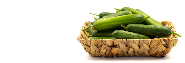 Ripe cucumber. Fresh cucumbers in basket isolated on white background. Organic food. Copy space. close up