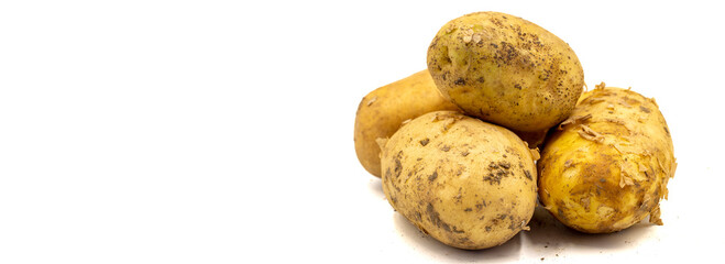 Ripe Potatoes. Fresh and raw potatoes isolated on white background. Organic food. Copy space. close up