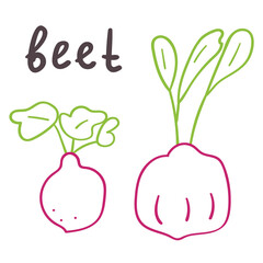 Beet. Outline vector hand drawn icons on white background.
