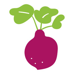 Beetroot. Flat vector hand drawn illustration on white background.