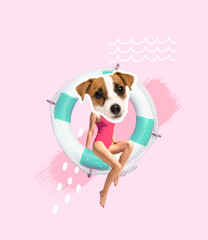 Contemporary art collage. Slim woman in swimming suit with dog's muzzle head sitting on swimming...