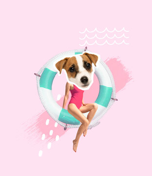 Contemporary Art Collage. Slim Woman In Swimming Suit With Dog's Muzzle Head Sitting On Swimming Circle. Life Guard