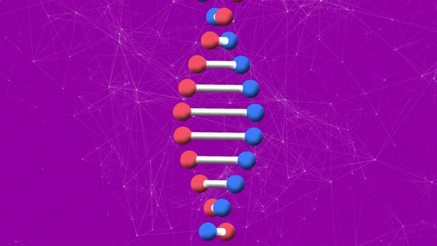 Animation of red and blue dna rotating with connecting dots, on purple background