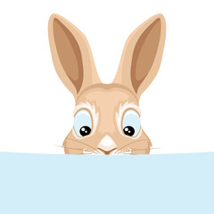 Illustration with cute rabbit on white background.