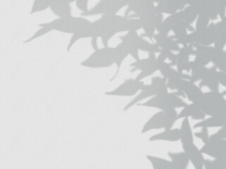 木のはの影が壁に映る背景