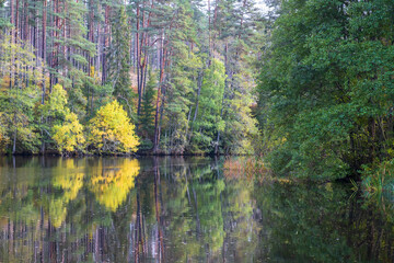 Reflections of autumn colors in the water