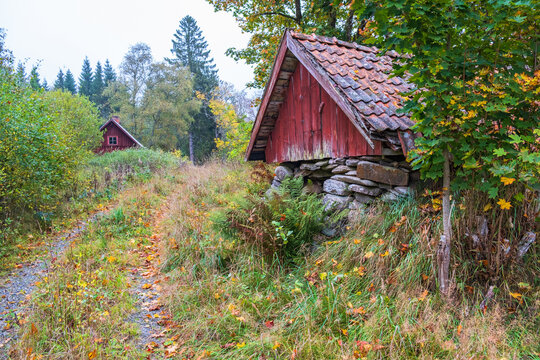 Idyllic old root cellar at a dirt road in autumn