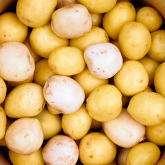 Background peeled fresh new potatoes close up. Top view.