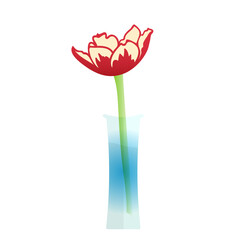 A flower in a vase color icon, a red tulip in a transparent vase filled with water