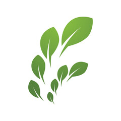 Fototapeta premium Green leaf illustration nature logo design