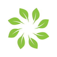 Green leaf illustration nature logo design