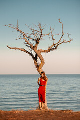 Lonely girl on a cliff near a dying tree