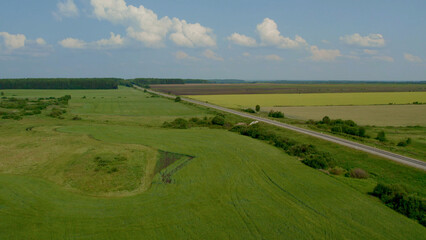 Obraz premium Green and yellow rural fields with blue sky in summer time