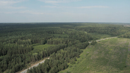 Asphalt road between forest in Ural
