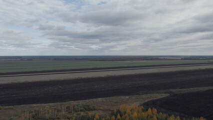 Green and brown rural fields with blue sky in autumn time