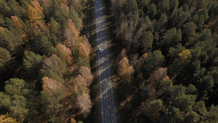 Closeup road with traffic cars between autumn forest in Ural