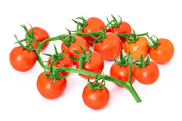 Delicious and rich tomatoes on a branch with drops of water, isolated on a white background. Agricultural harvest and daily healthy food
