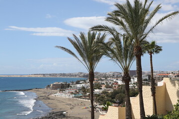 Palm leaves Tree Grand canaria poster print vaccation flyer  travel exotic sun, tropical