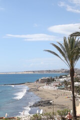 Palm leaves Tree Grand canaria poster print vaccation flyer  travel exotic sun, tropical