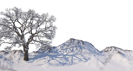 Trees and mountains in winter on a white background with clipping paths.