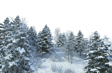Trees and mountains in winter on a white background with clipping paths.