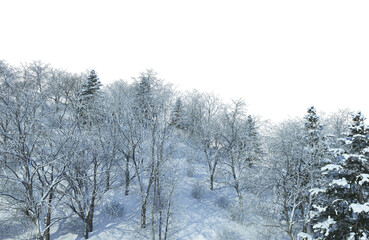 Trees and mountains in winter on a white background with clipping paths.